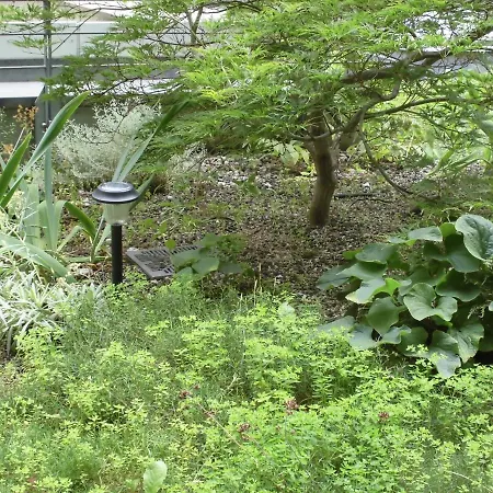 Centrum, Centrum, Direkt Im Centrum!