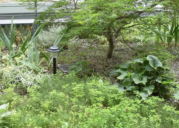 Centrum, Centrum, Direkt Im Centrum!